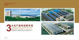 公司介绍